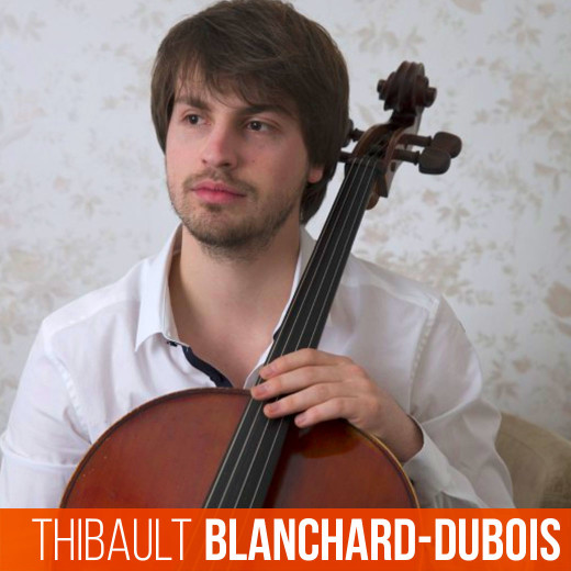 Violon (FR)